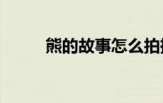 熊的故事怎么拍摄的（熊的故事）