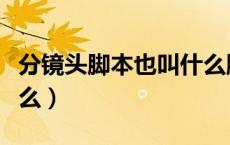 分镜头脚本也叫什么脚本（分镜头脚本也叫什么）