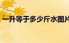一升等于多少斤水图片（一升等于多少斤水）