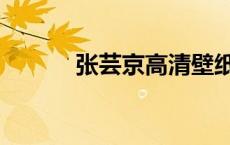 张芸京高清壁纸（张芸京图片）