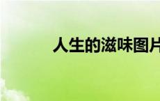 人生的滋味图片（人生的滋味）