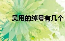 吴用的绰号有几个（吴用的绰号是啥）