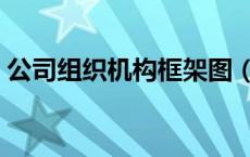 公司组织机构框架图（公司组织结构怎么写）