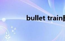 bullet train翻译（bullet）