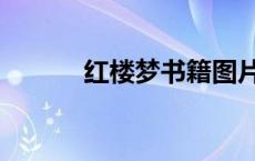 红楼梦书籍图片（红楼梦图片）