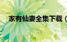家有仙妻全集下载（家有仙妻下载迅雷）