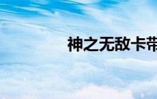 神之无敌卡带（神之无敌）