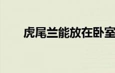 虎尾兰能放在卧室里养吗?（虎尾兰）