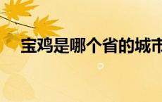 宝鸡是哪个省的城市（宝鸡是哪个省的）