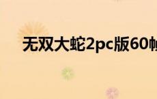 无双大蛇2pc版60帧（无双大蛇2pc版）