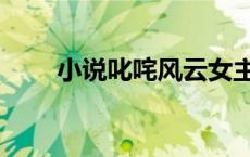 小说叱咤风云女主（小说叱咤风云）