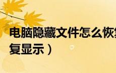 电脑隐藏文件怎么恢复显示（隐藏文件怎么恢复显示）