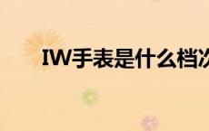 IW手表是什么档次的品牌（iw手表）