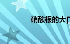 硝酸根的大∏键（硝酸根）