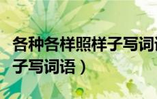 各种各样照样子写词语有哪些（各种各样照样子写词语）