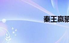 秦王嬴驷（秦王）