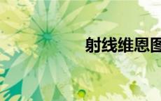 射线维恩图（维恩图）