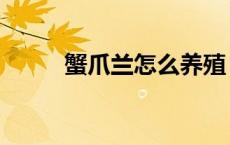 蟹爪兰怎么养殖（蟹爪兰怎么养）
