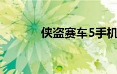 侠盗赛车5手机版（侠盗赛车）