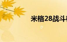 米格28战斗机（米格28）