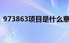 973863项目是什么意思（项目是什么意思）
