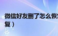 微信好友删了怎么恢复（微信好友误删怎么恢复）
