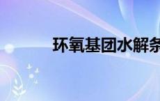 环氧基团水解条件（环氧基团）