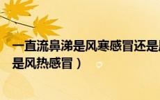 一直流鼻涕是风寒感冒还是风热感冒（流鼻涕是风寒感冒还是风热感冒）