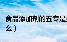 食品添加剂的五专是指（食品添加剂五专是什么）