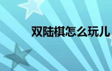 双陆棋怎么玩儿（双陆棋怎么玩）