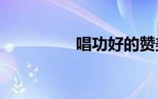 唱功好的赞美词（唱功）
