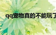 qq宠物真的不能玩了吗（qq宠物打不开）
