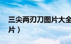 三尖两刃刀图片大全 宝莲灯（三尖两刃刀图片）