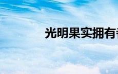光明果实拥有者（光明果实）