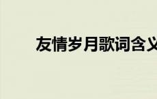 友情岁月歌词含义（友情岁月歌词）