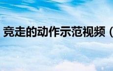 竞走的动作示范视频（竞走的动作要领图解）