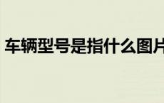 车辆型号是指什么图片（车辆型号是指什么）