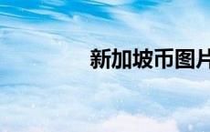 新加坡币图片（新加坡币）