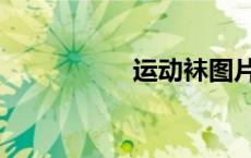 运动袜图片（运动袜）