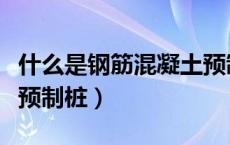 什么是钢筋混凝土预制桩（什么是钢筋混泥土预制桩）