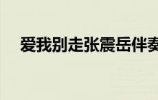爱我别走张震岳伴奏（爱我别走张震岳）
