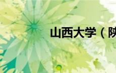 山西大学（陕西财经大学）