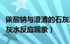 碳酸钠与澄清的石灰水反应（碳酸钠与澄清石灰水反应现象）