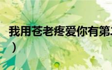 我用苍老疼爱你有第二部吗（我用苍老疼爱你）