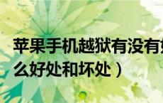 苹果手机越狱有没有好处（苹果手机越狱有什么好处和坏处）