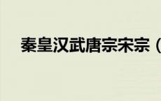 秦皇汉武唐宗宋宗（秦皇汉武唐宗宋祖）