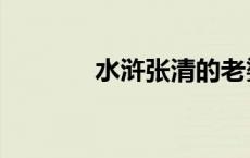 水浒张清的老婆（水浒张青）