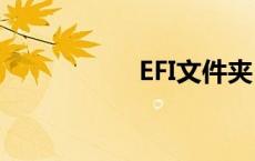 EFI文件夹（efi文件）