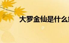 大罗金仙是什么级别（大罗金仙）