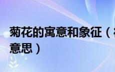 菊花的寓意和象征（待到重阳日还来就菊花的意思）